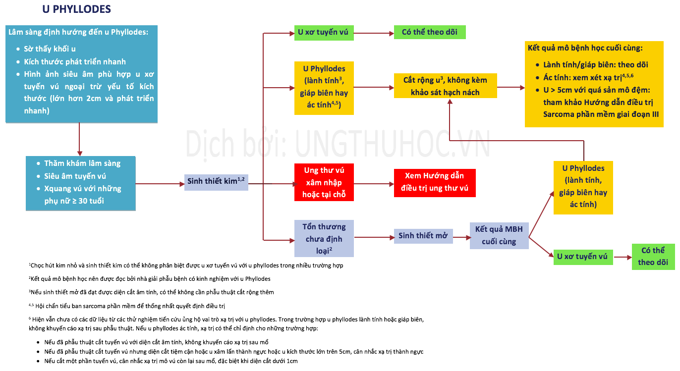 [Hướng dẫn điều trị 2017] U PHYLLODES VÚ - MD ANDERSON (MỸ) - UNG THƯ HỌC