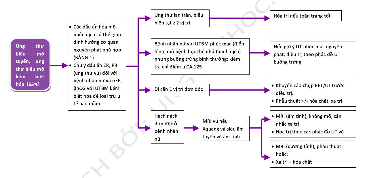 Phác Đồ Điều Trị Ung Thư Máu: Hiểu Rõ và Cách Điều Trị Hiệu Quả